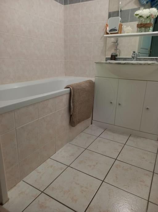 Le Doubs Cosy Apartment Besançon Exterior foto