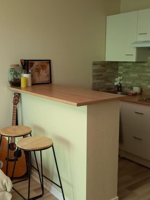 Le Doubs Cosy Apartment Besançon Exterior foto