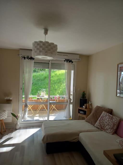 Le Doubs Cosy Apartment Besançon Exterior foto